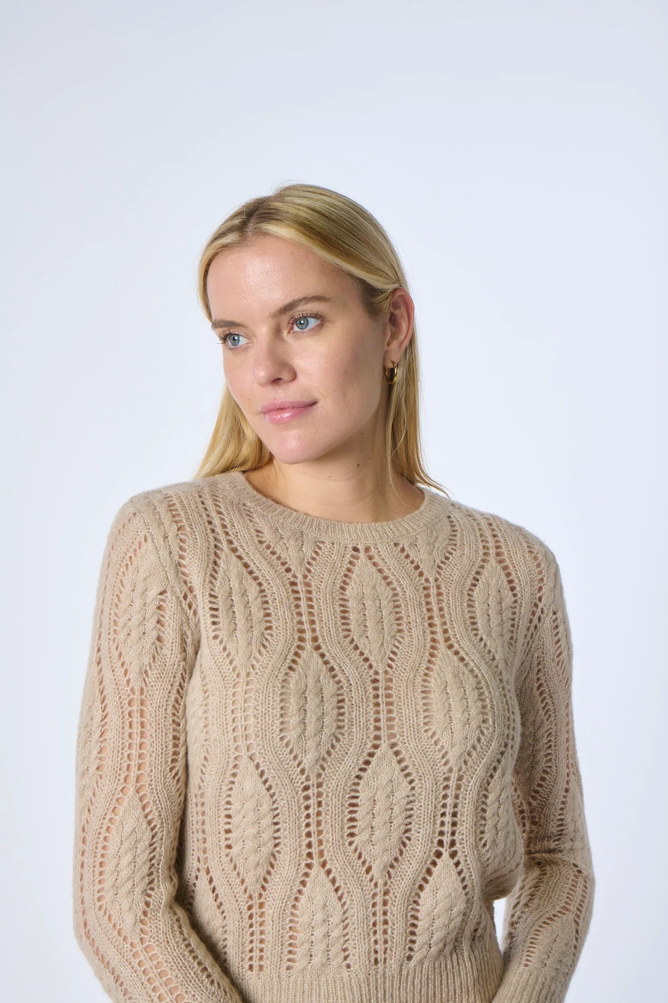 braided stitch crewneck sweater