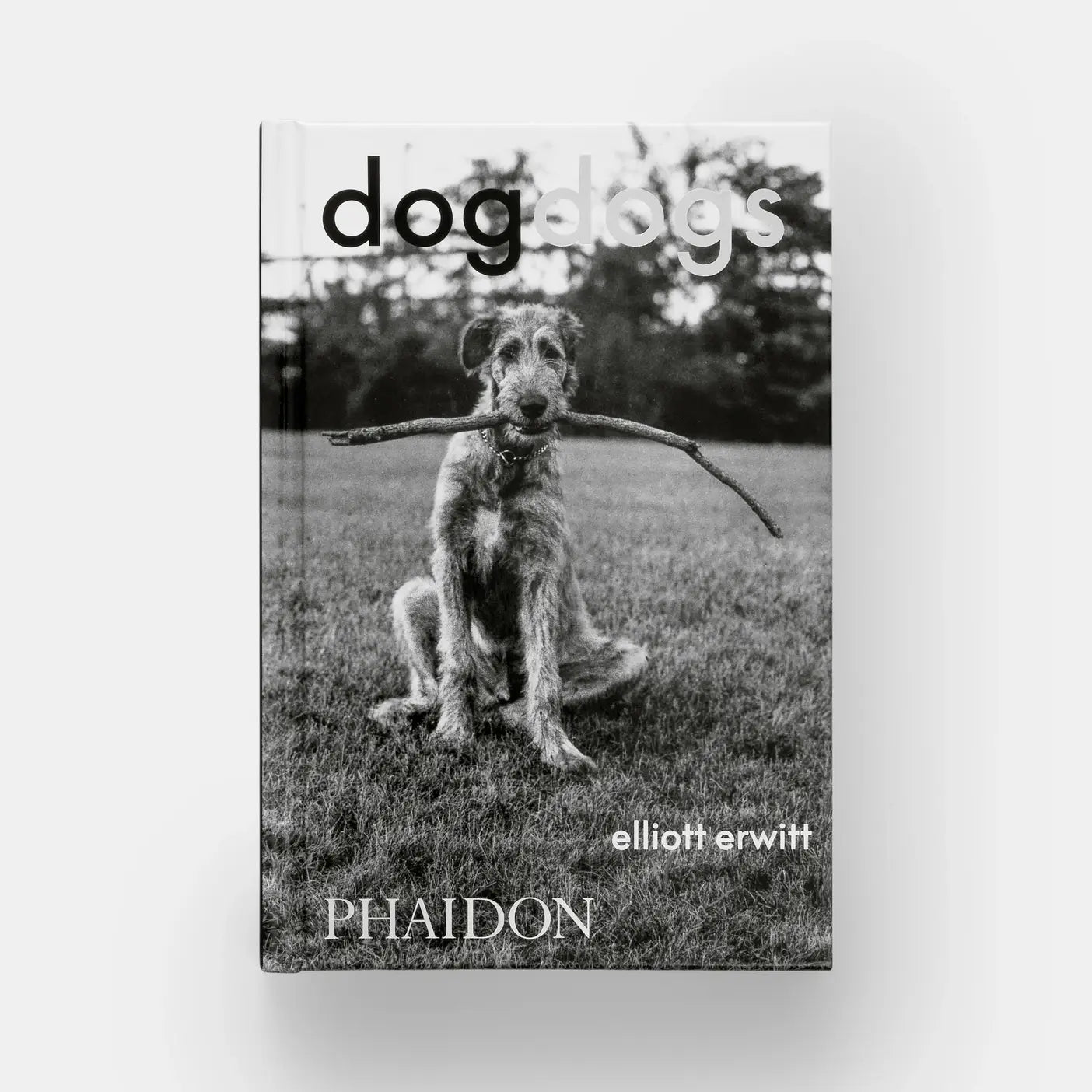 DogDogs