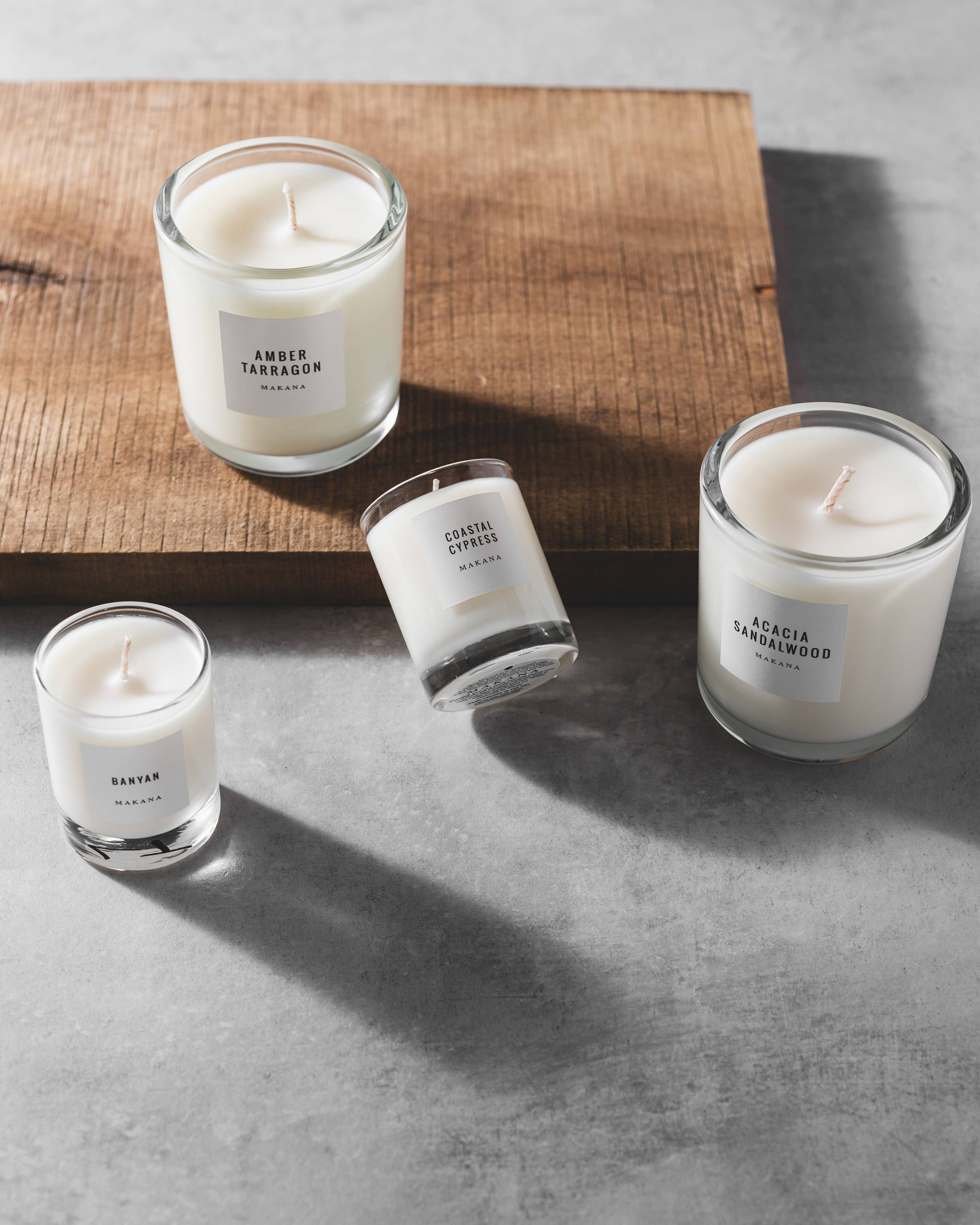 Acacia Sandalwood - Classic Candle 10 oz