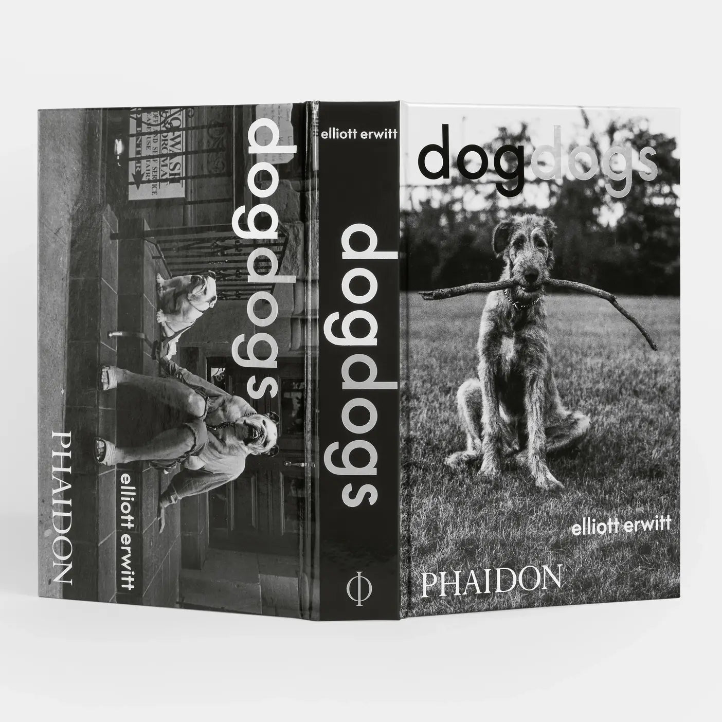 DogDogs