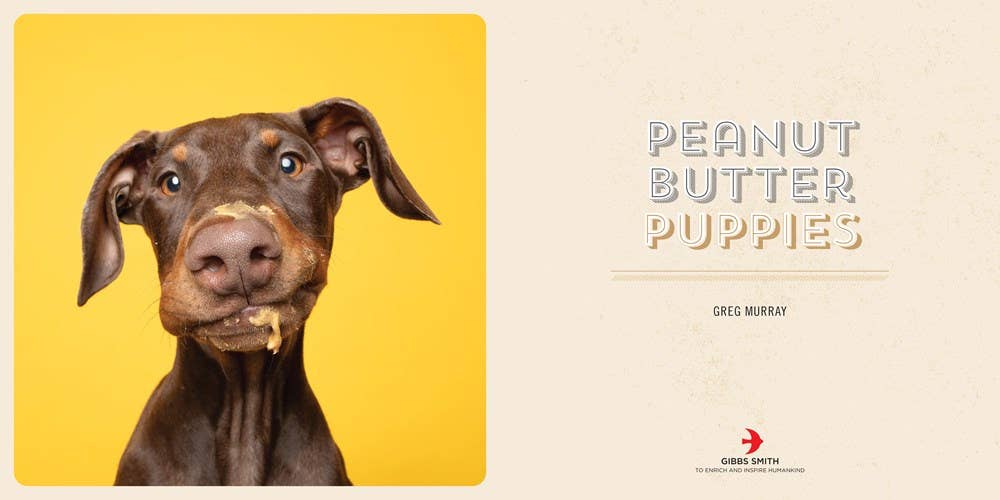 Peanut Butter Puppies