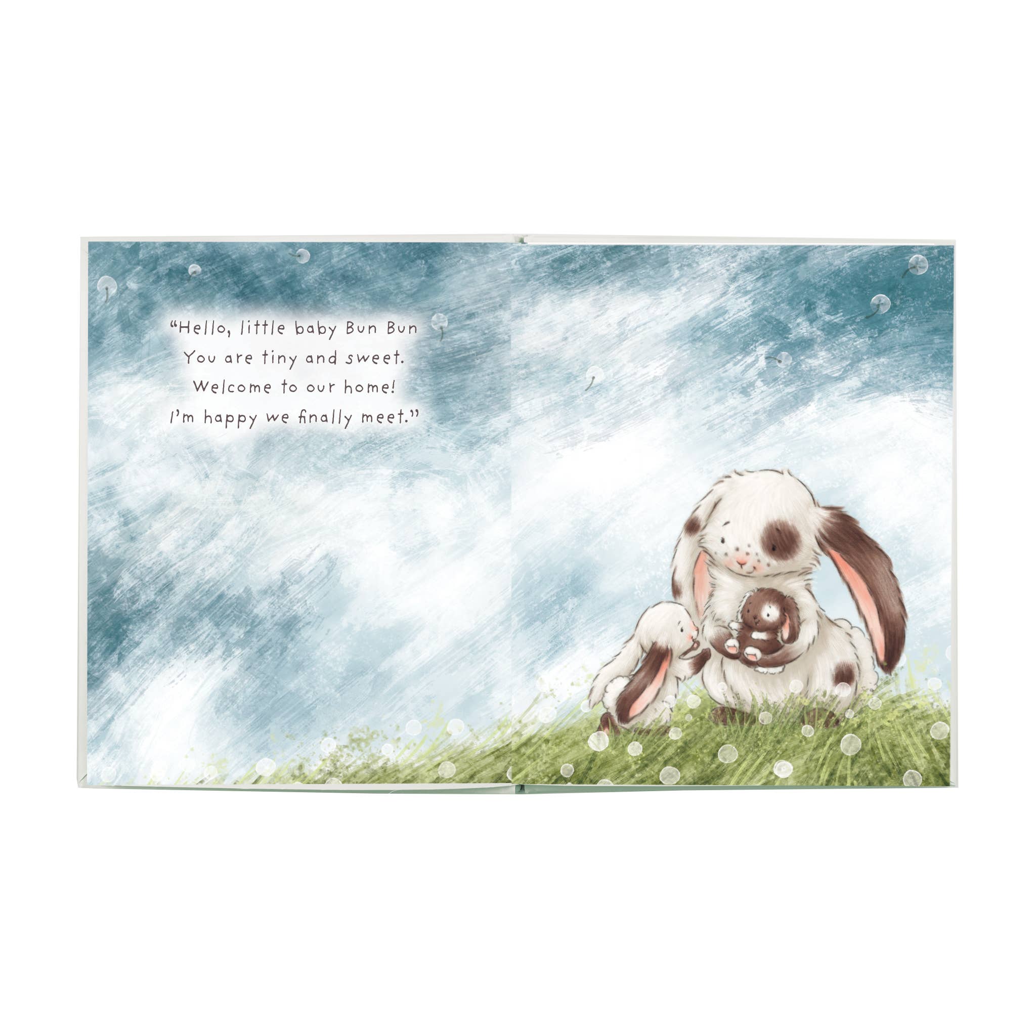 Who Will Our New Baby Be? Story Book