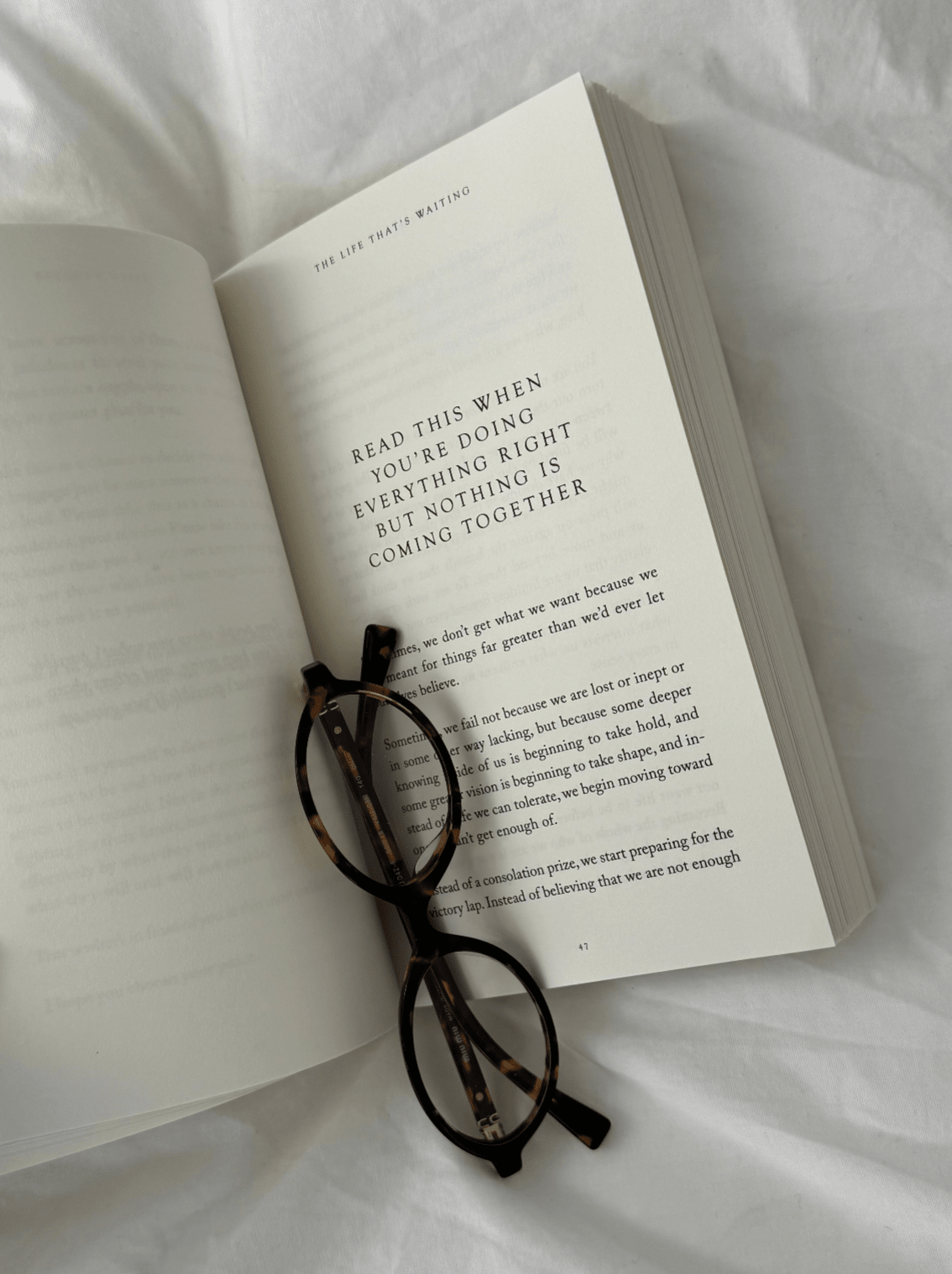The Life That's Waiting (book) - Willow