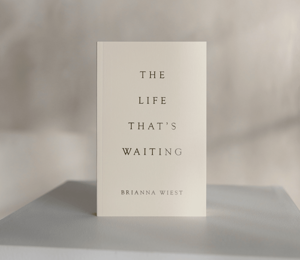 The Life That's Waiting (book) - Willow