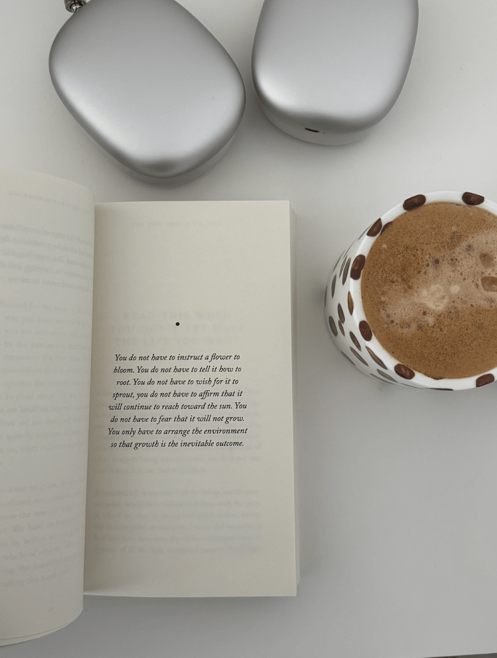 The Life That's Waiting (book) - Willow