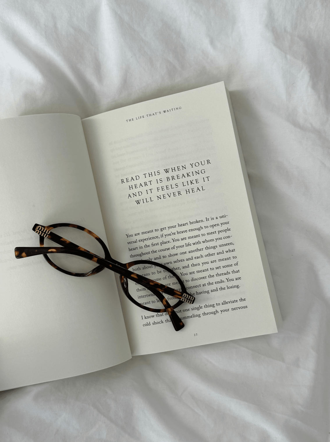 The Life That's Waiting (book) - Willow