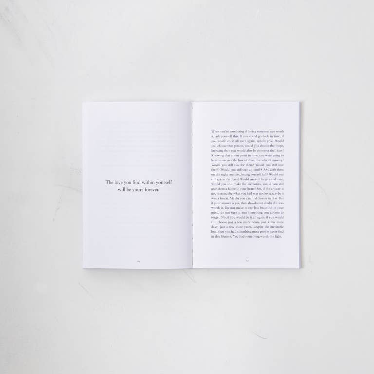 The Strength In Our Scars - book - Willow