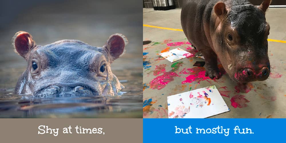 Fiona's Feelings