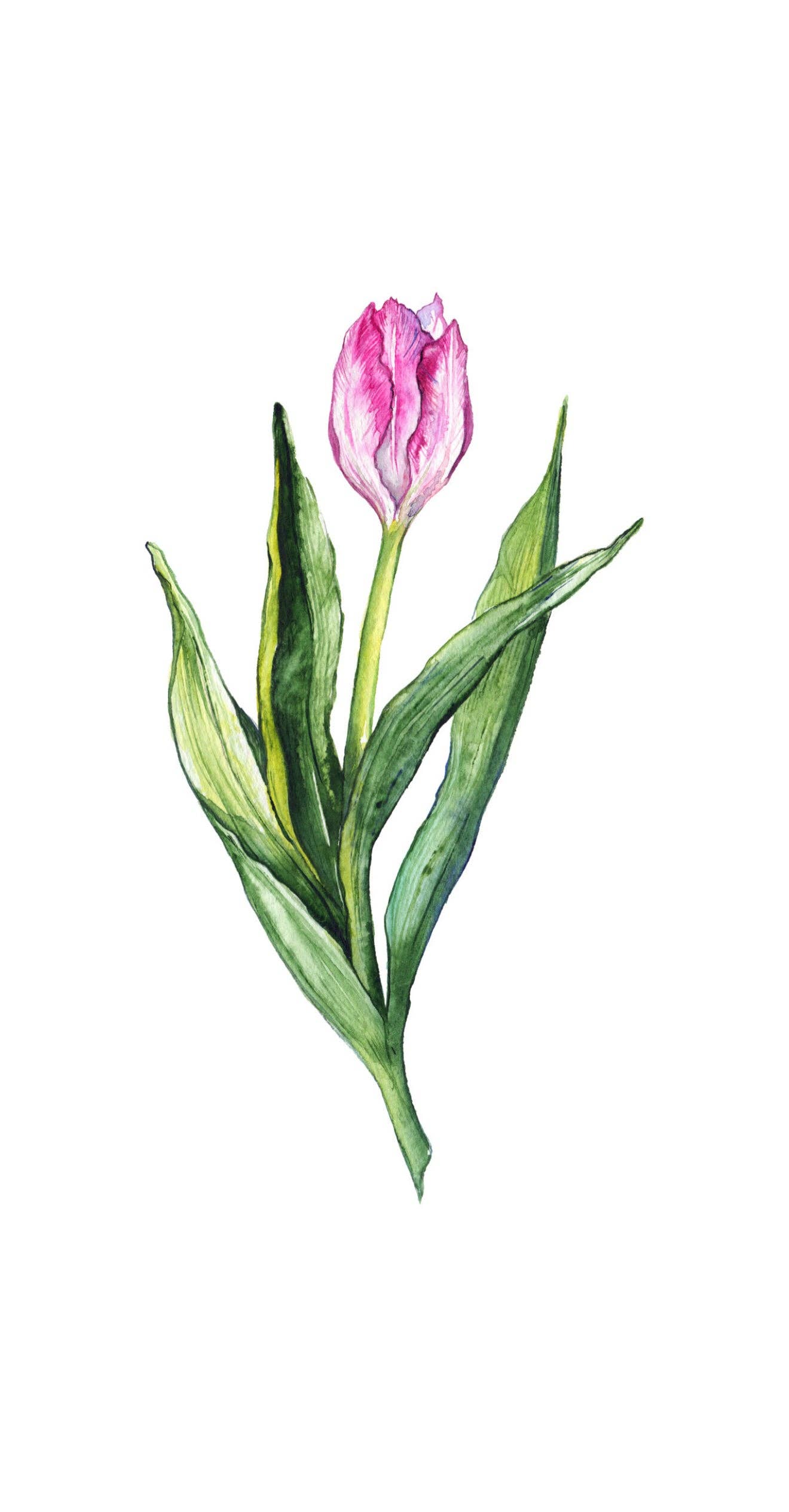 Field of Tulips - Printed Guest Towel