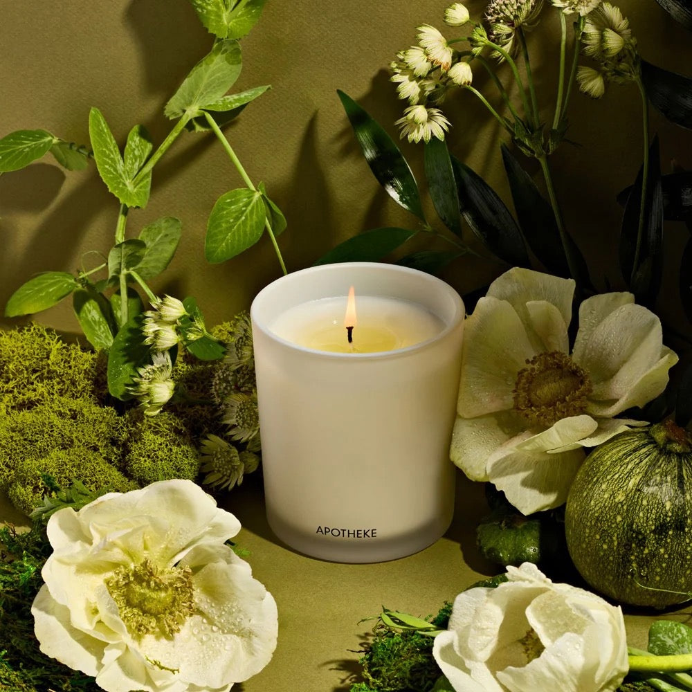 verdant garden classic candle