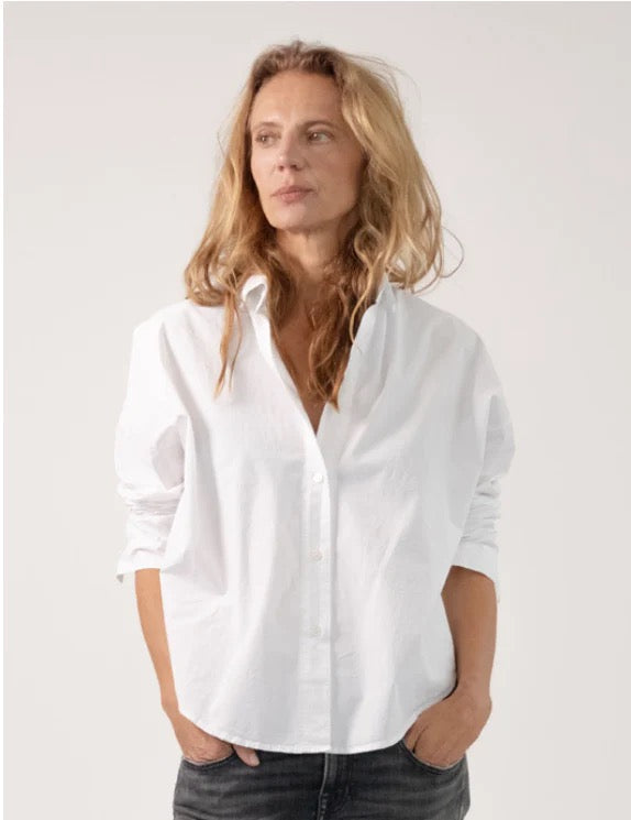 Cotton Poplin Button Down
