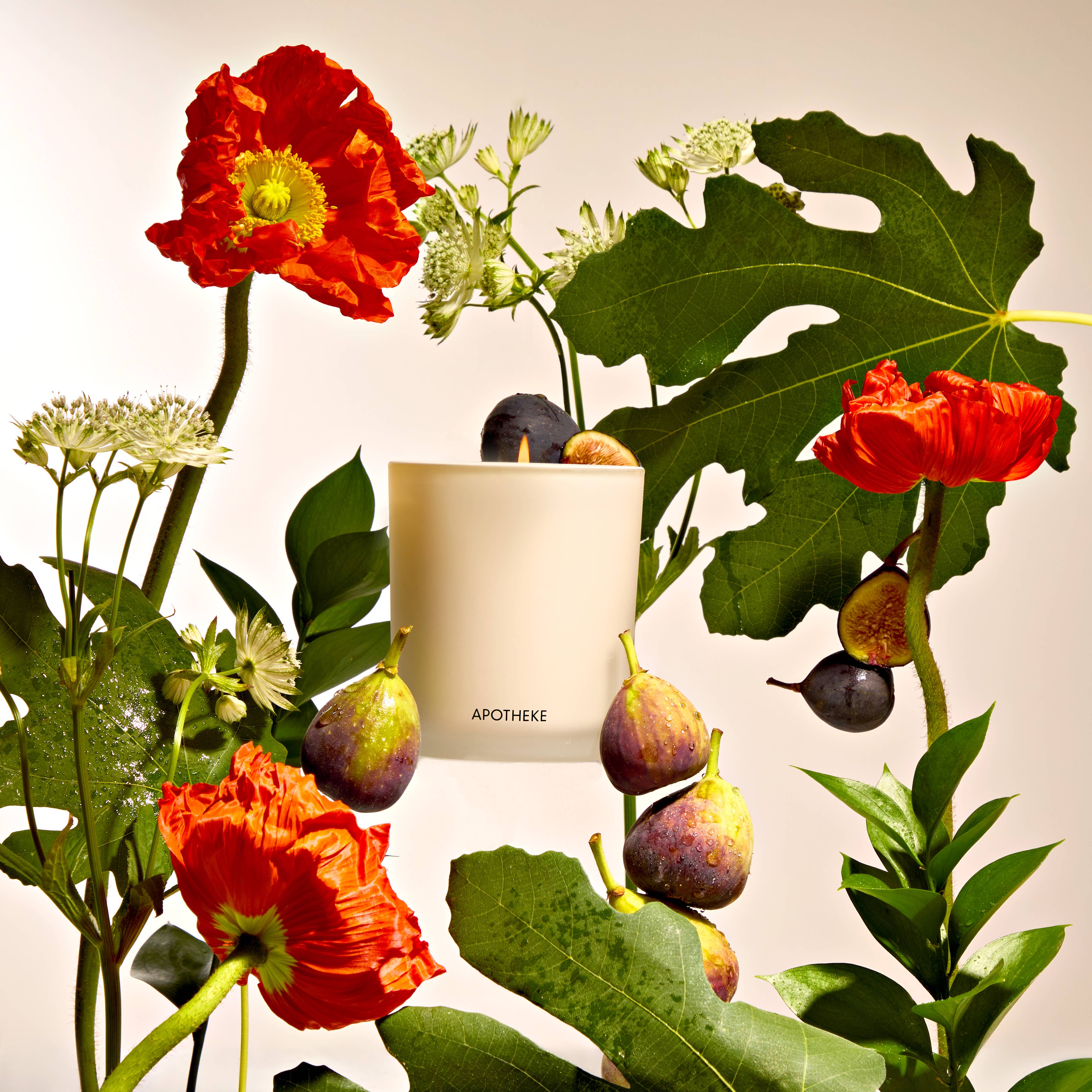 Fig and Olive Leaf Classic Candle