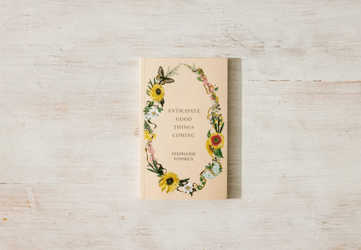 Anticipate Good Things Coming - book - Willow