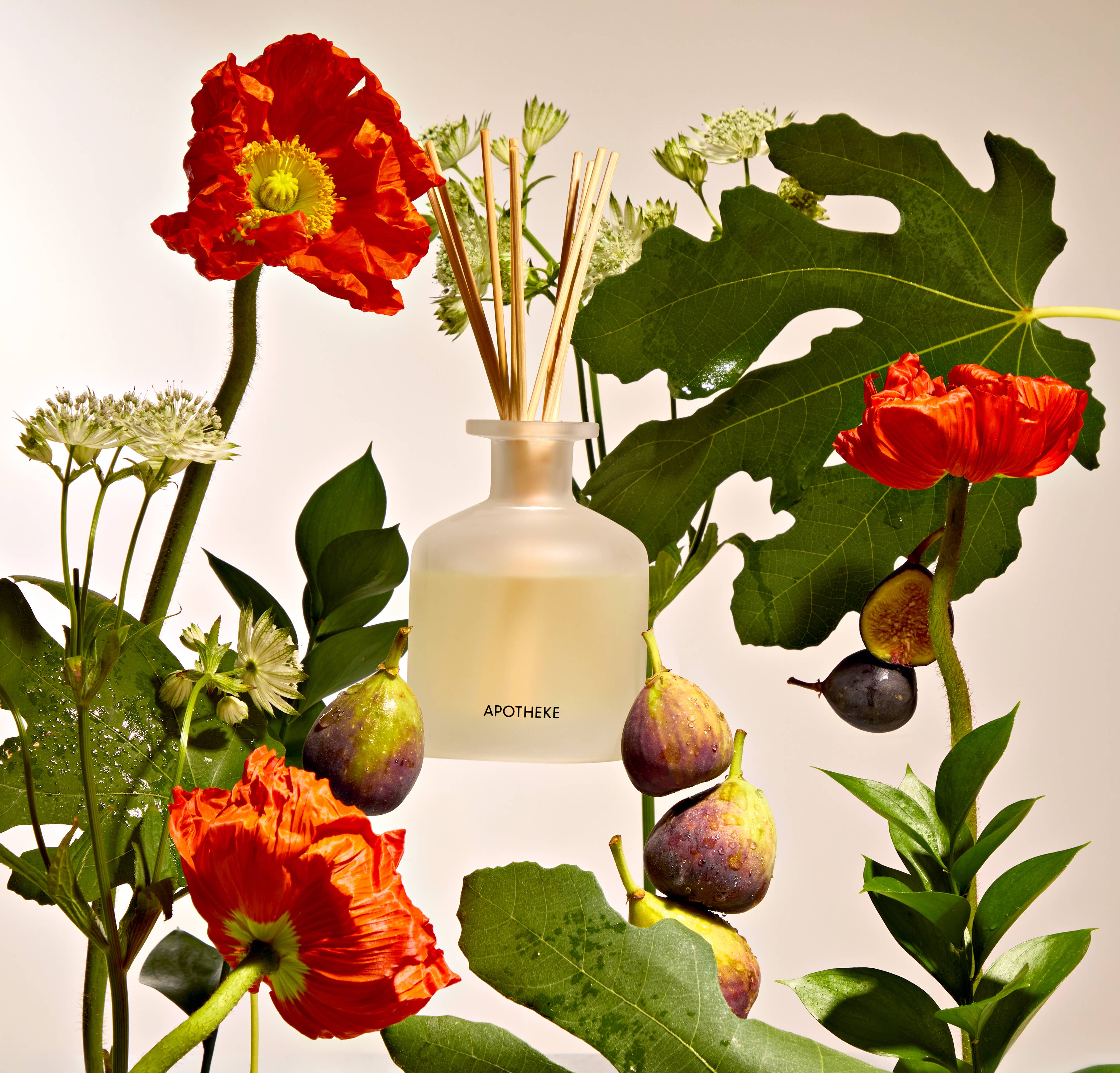 Fig and Olive Leaf Reed Diffuser
