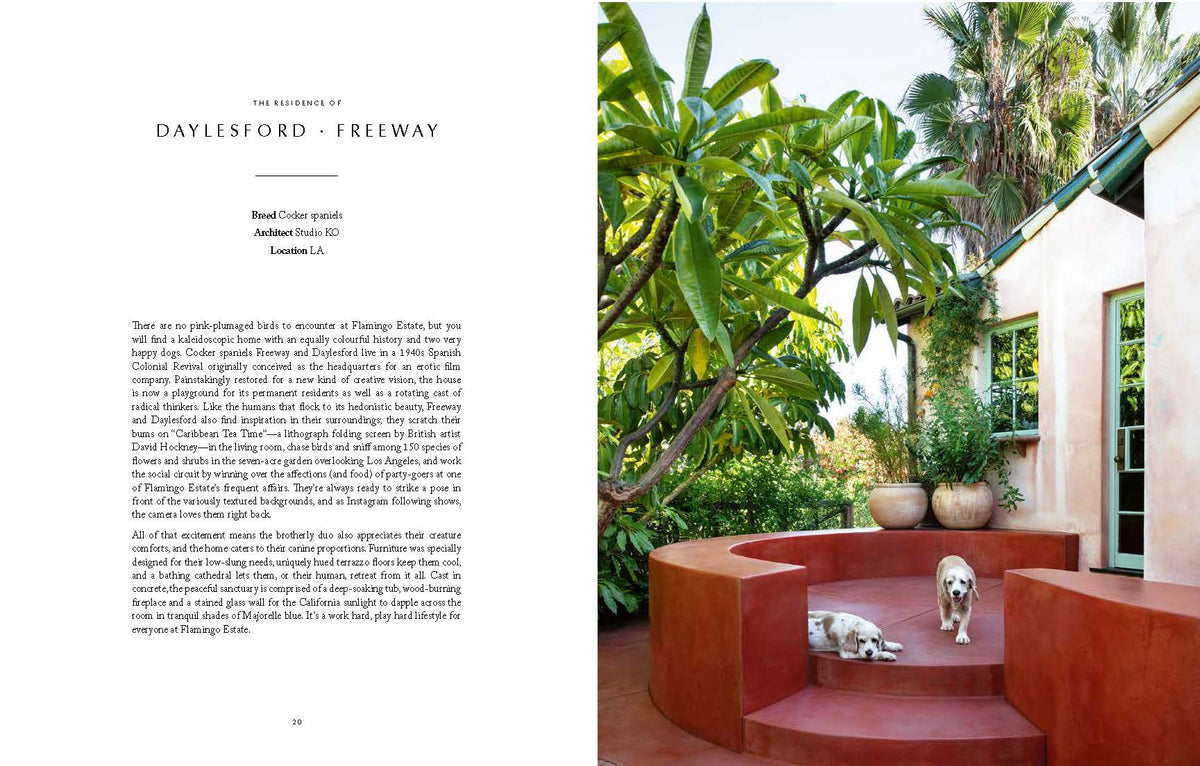 Resident Dog (Volume Two)
