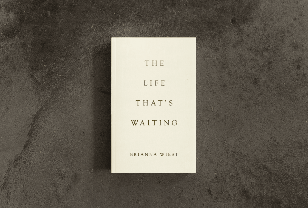 The Life That's Waiting (book) - Willow