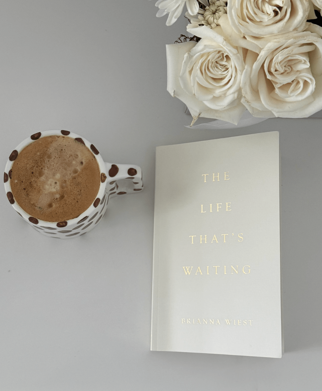 The Life That's Waiting (book) - Willow