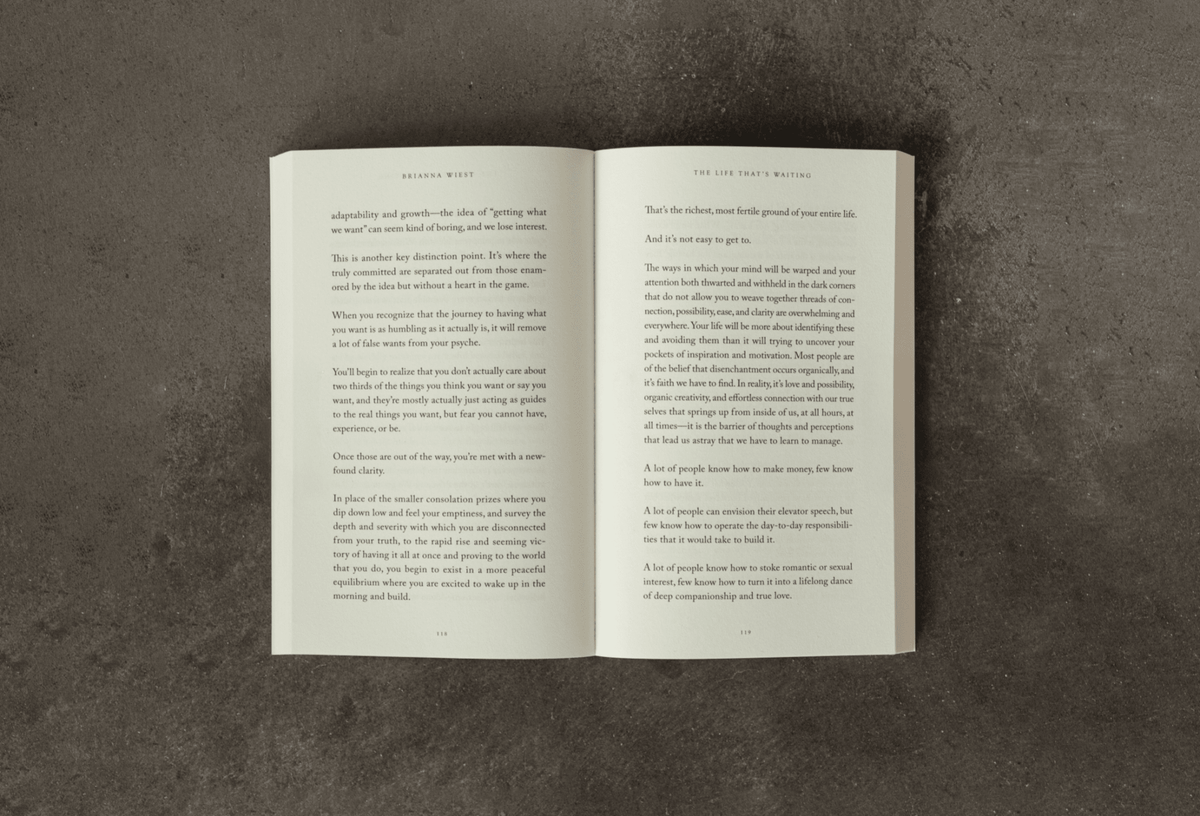 The Life That's Waiting (book) - Willow