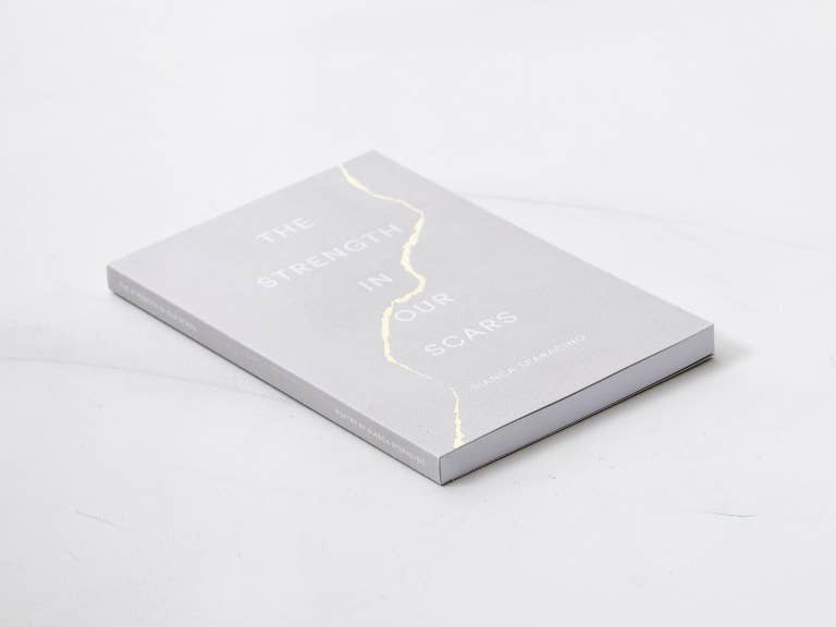 The Strength In Our Scars - book - Willow